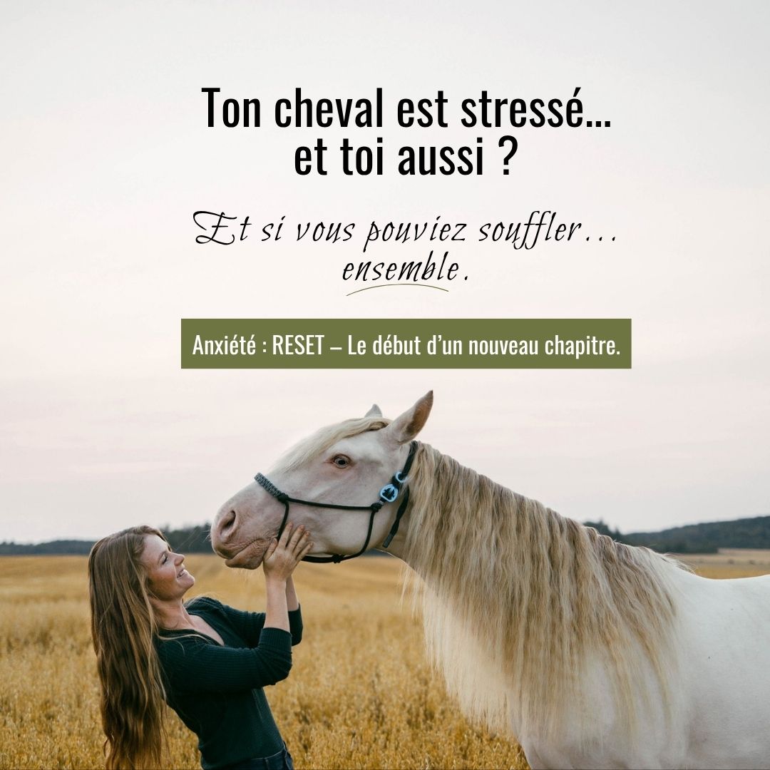 BlackJack Horsemanship Facebook ad from Dec 4, 2025