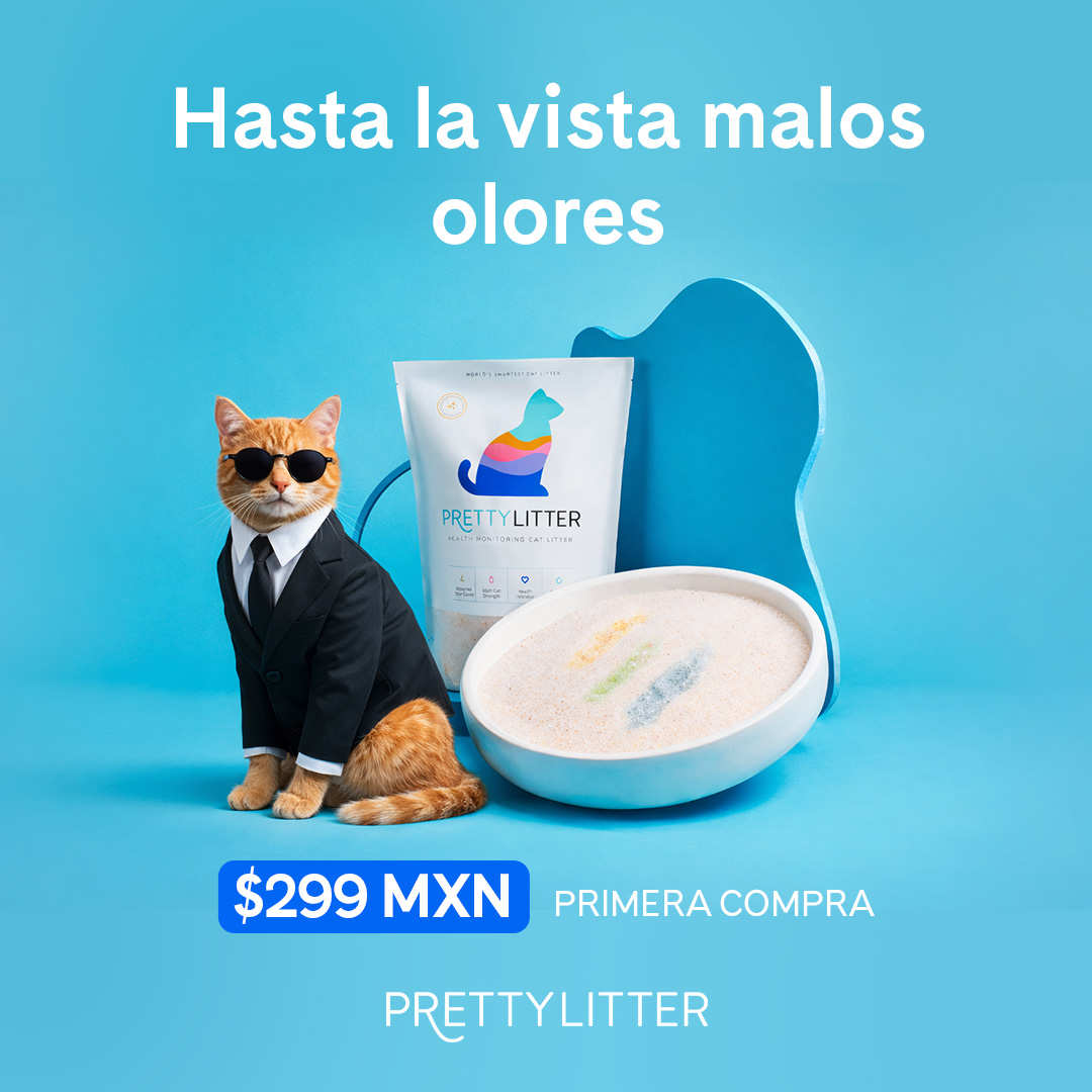 PrettyLitter Facebook ad