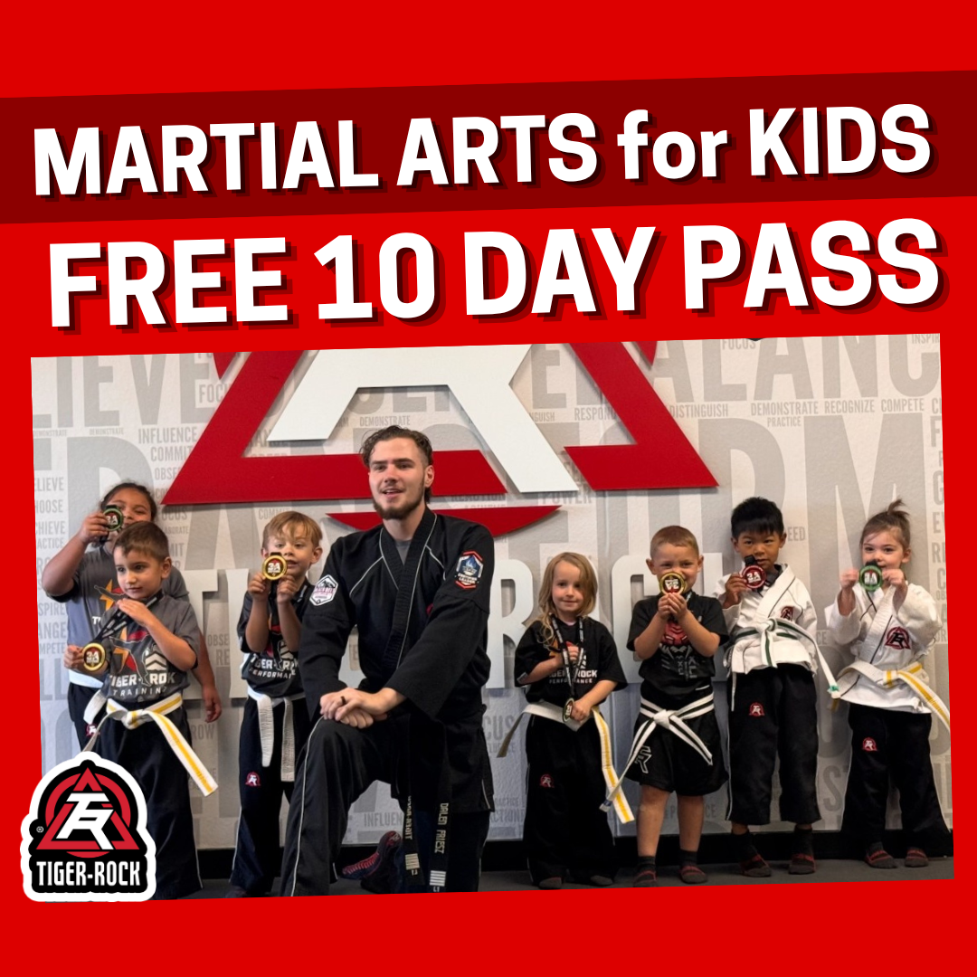 Tiger Rock Martial Arts - Fountain Facebook ad: 10 Days of Classes 100% FREE!