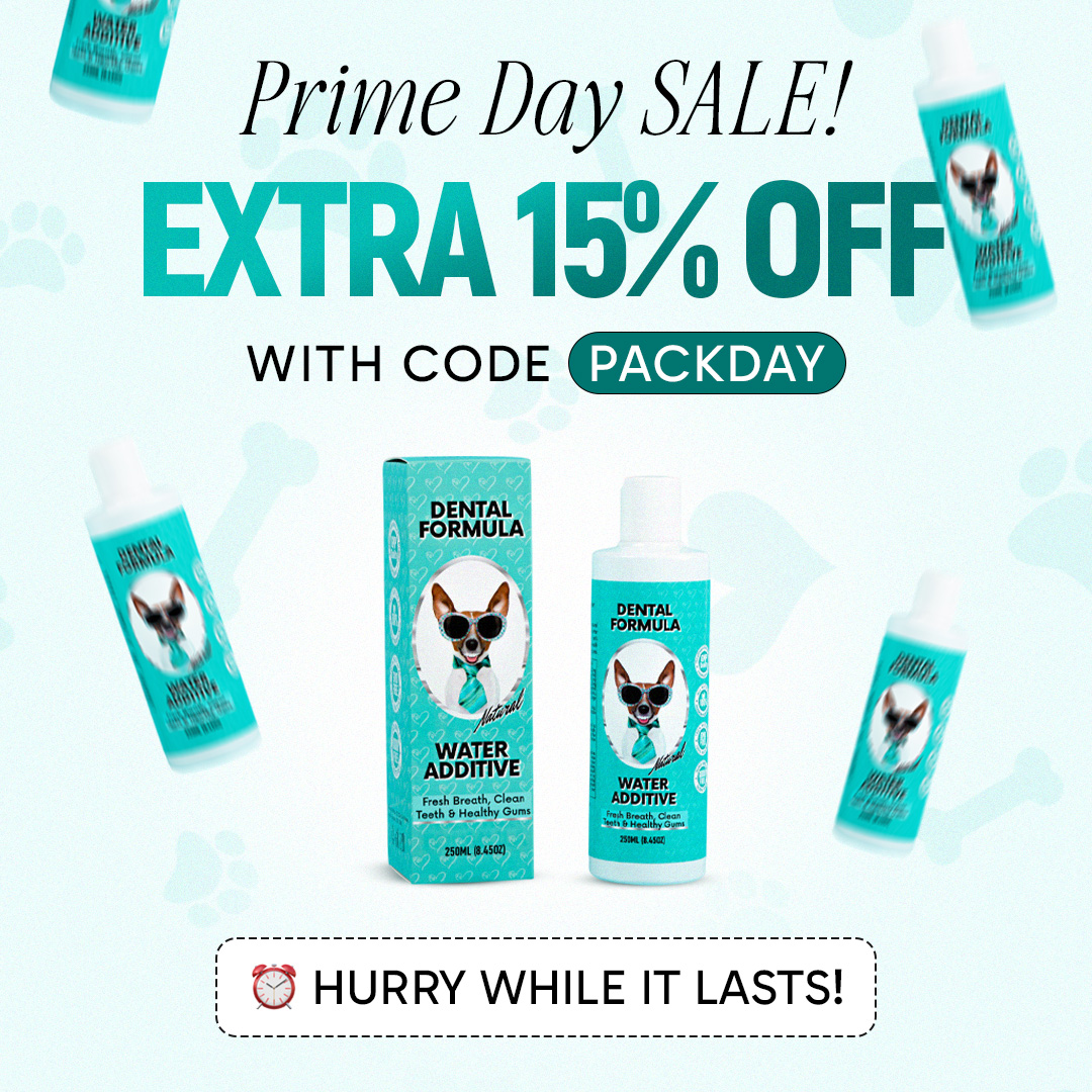 Healthy Dog 24/7 Facebook ad