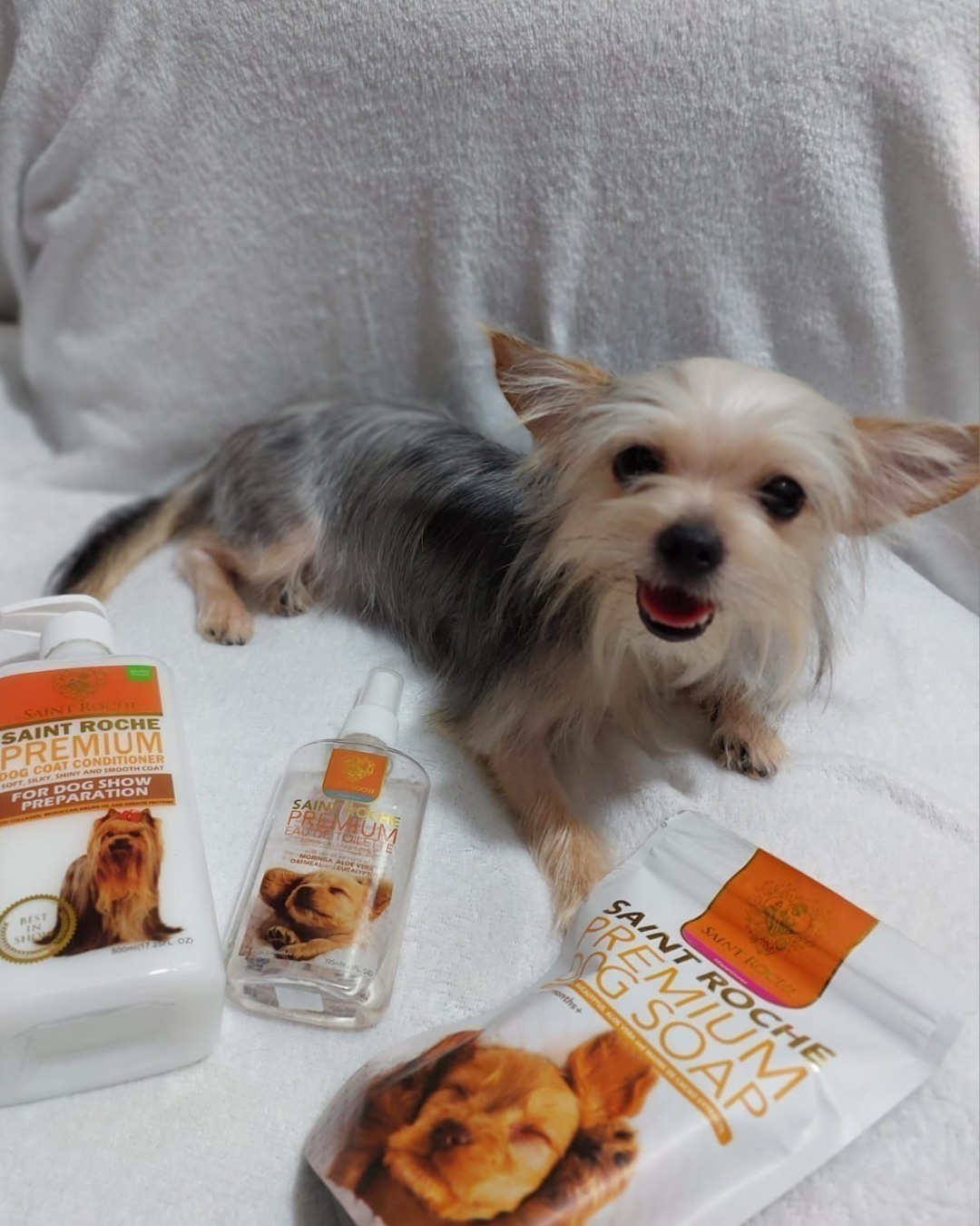Saint Roche Premium Dog Shampoo Facebook ad