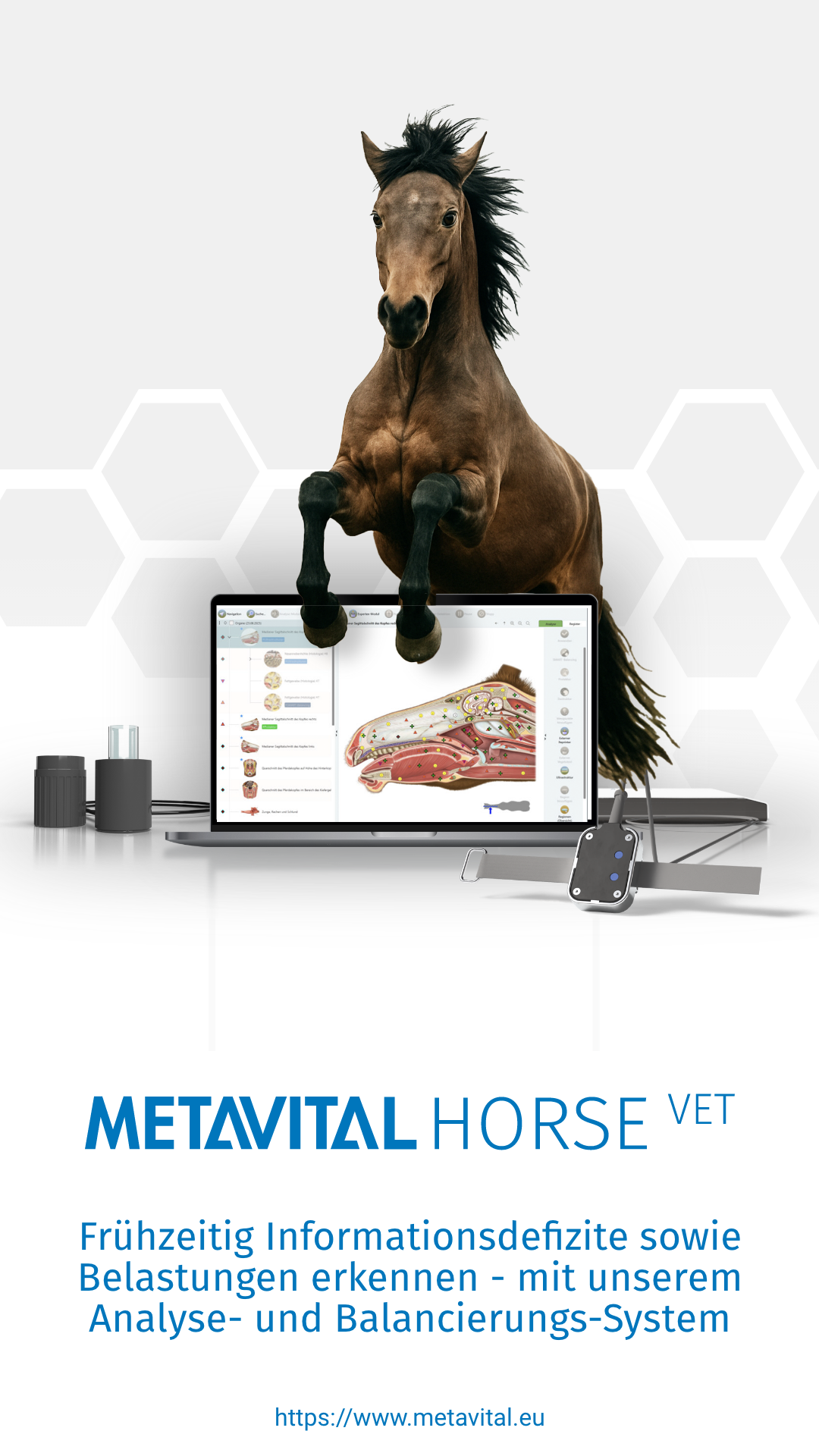 Metavital GmbH Facebook ad