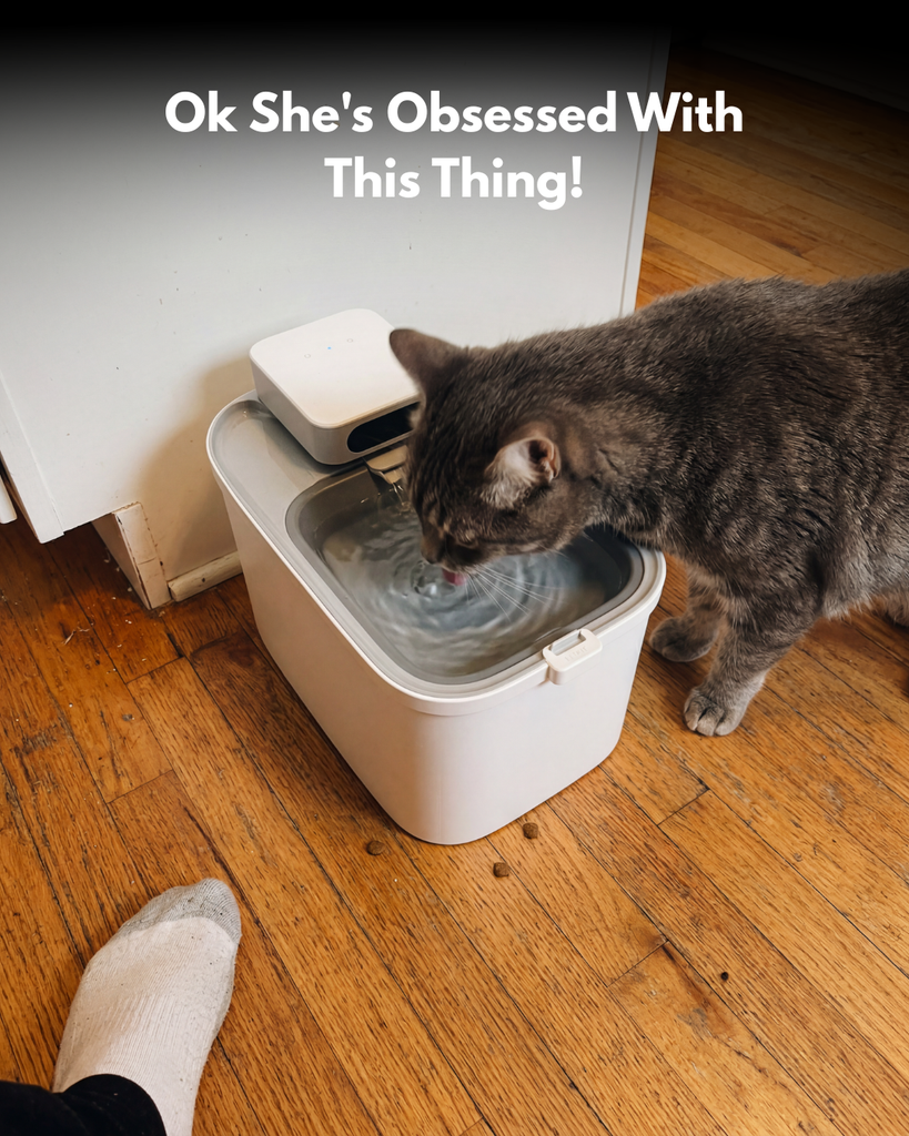 Alder and Jade Facebook ad: Ok She's Obsessed With This Thing!