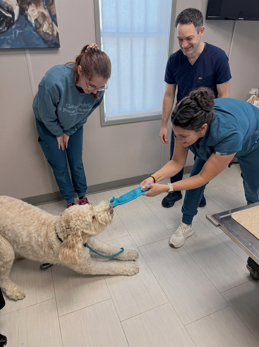 Canine Stress Research Institute Facebook ad