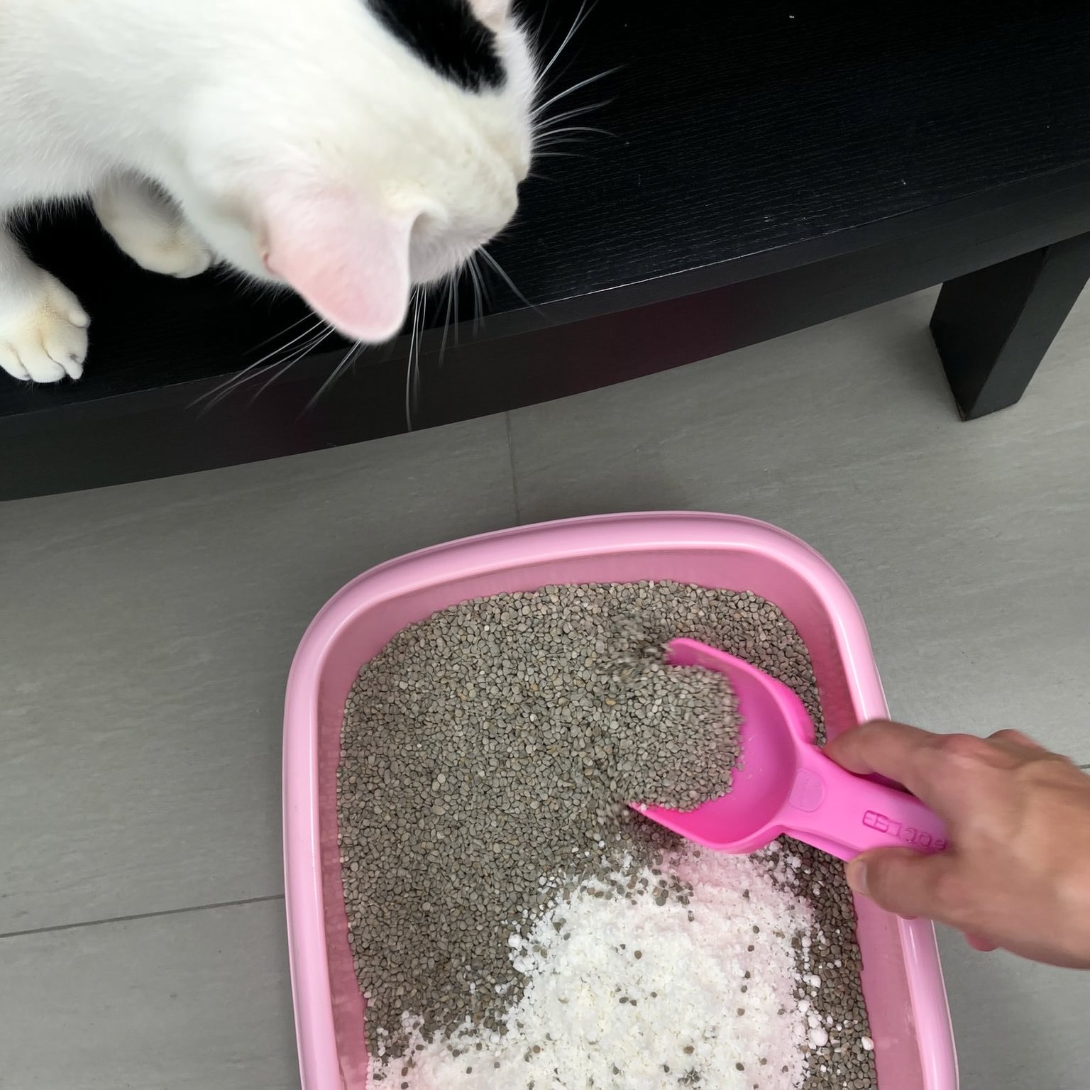 Anais Garnier Facebook ad: Lis ça si tu utilises de la litière pour chat