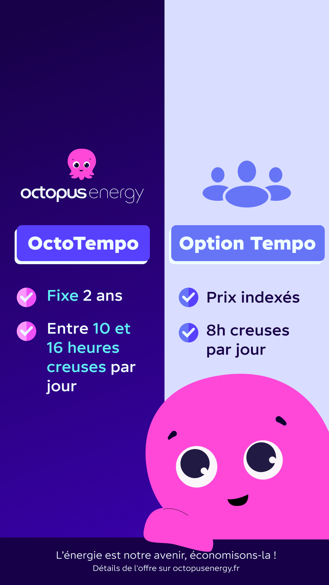 Octopus Energy Facebook ad