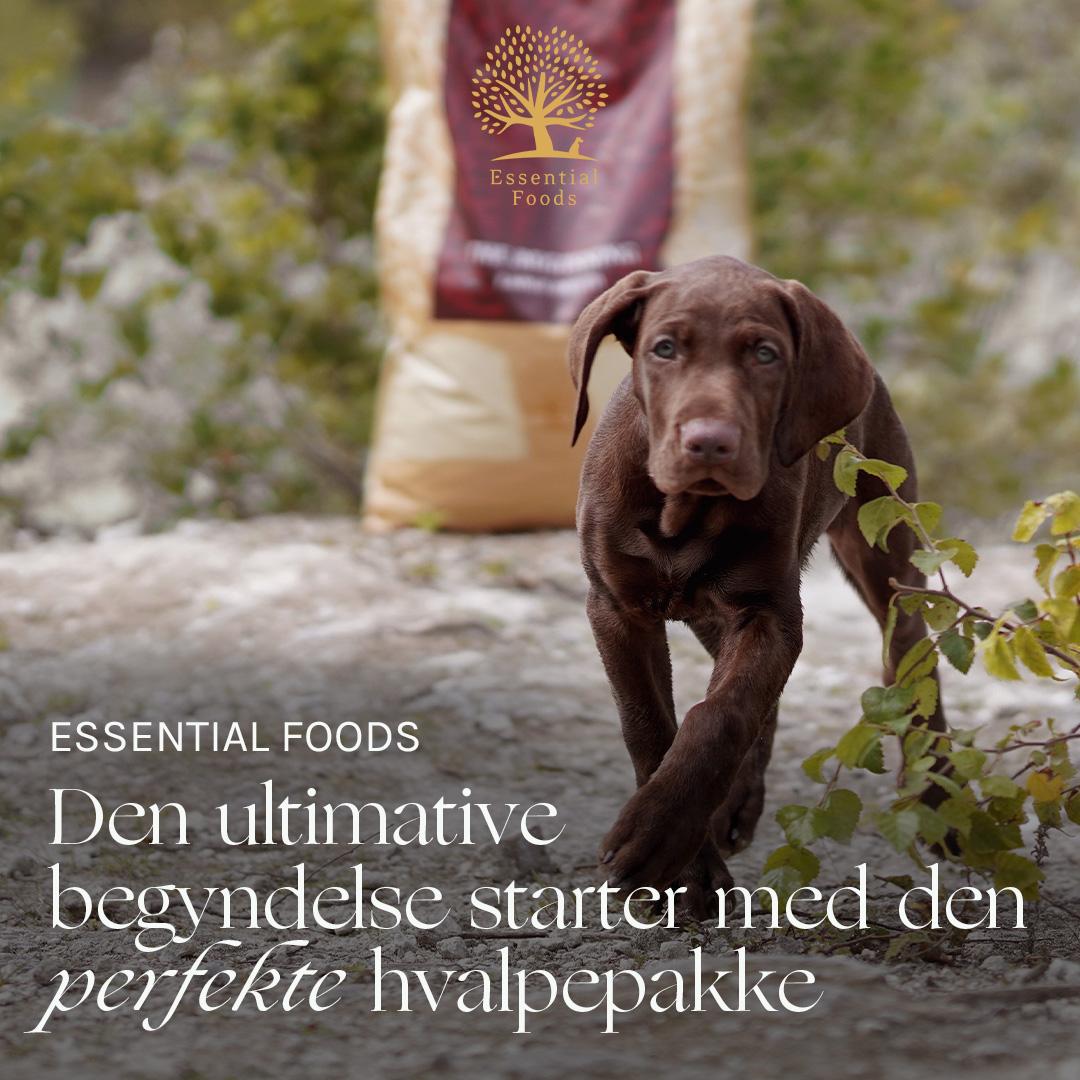 Essential Foods Facebook ad from Mar 3, 2026