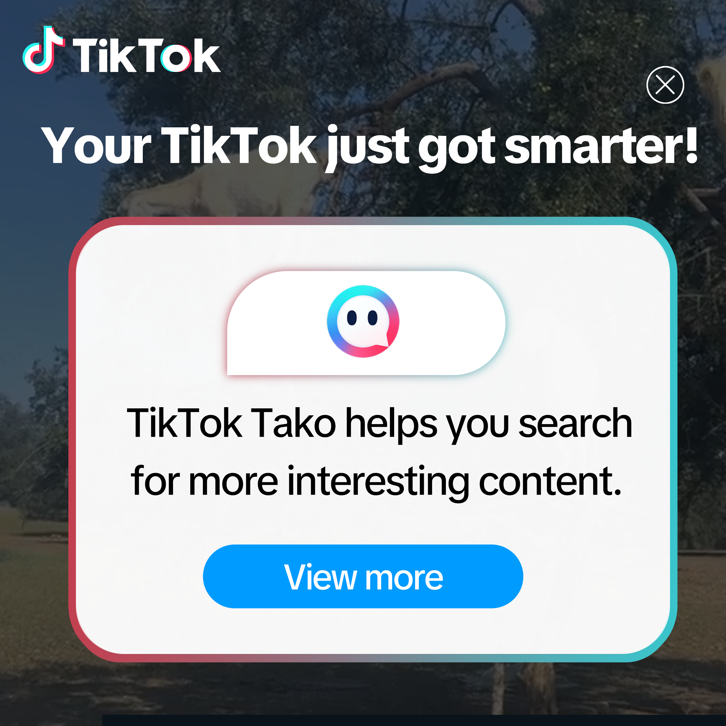 TikTok - US Facebook ad