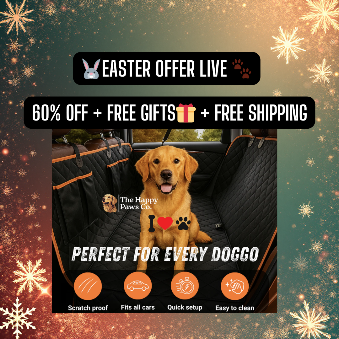 The Happy Paws Co. Facebook ad: From Messy → Clean in Seconds