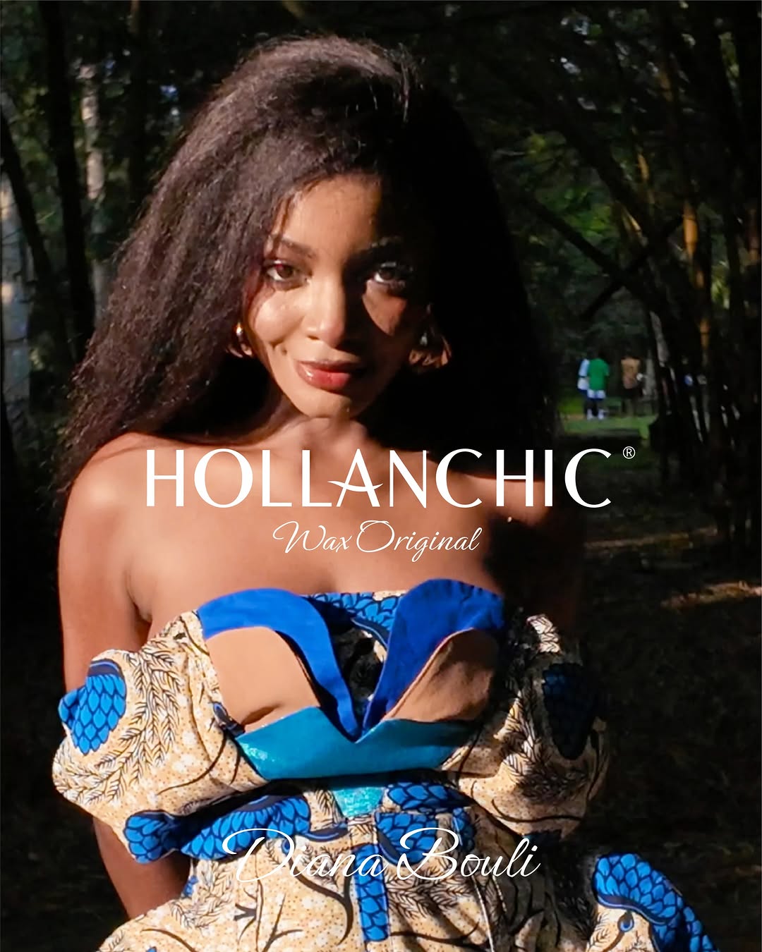 Hollanchic Facebook ad