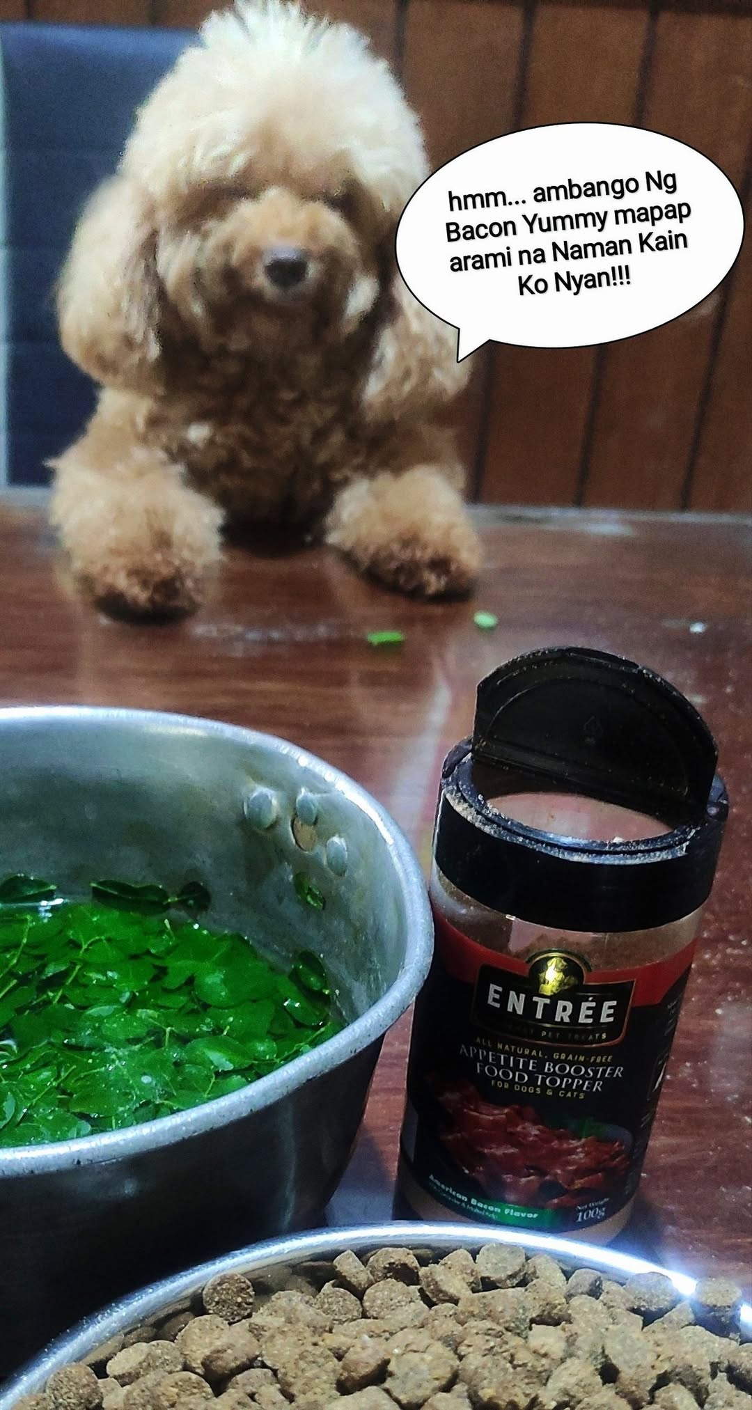 Entrée Gourmet Pet Treats Facebook ad