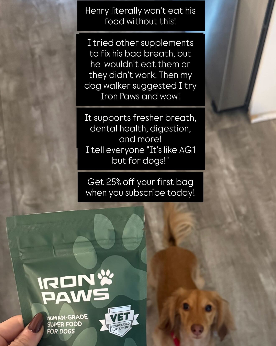 Iron Paws Facebook ad from Feb 25, 2026