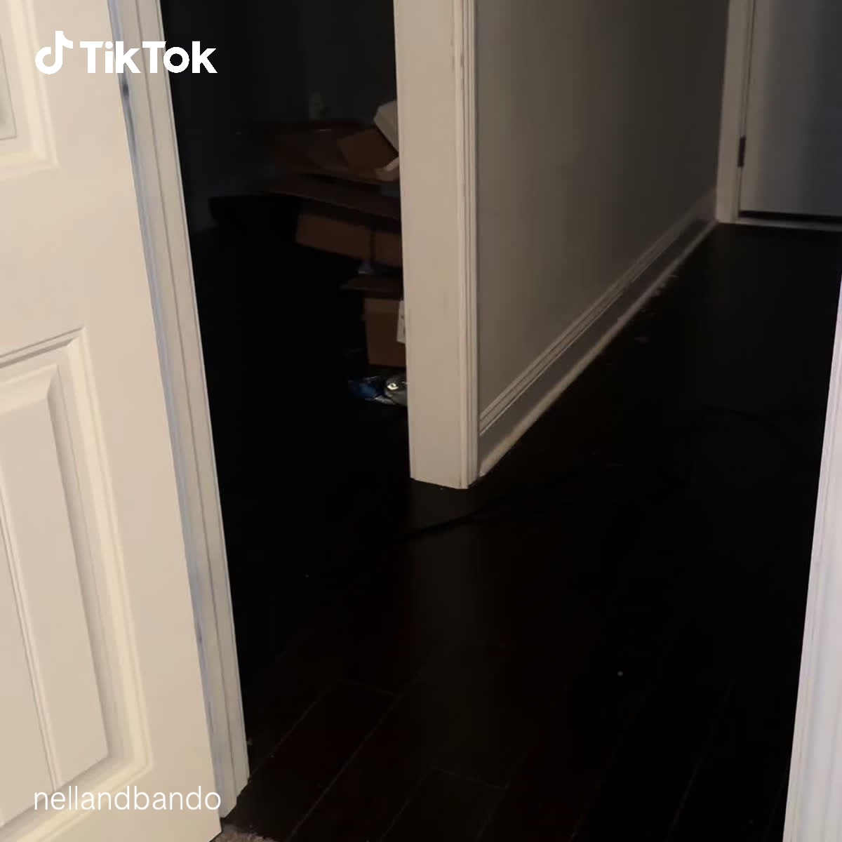 TikTok - US Facebook ad