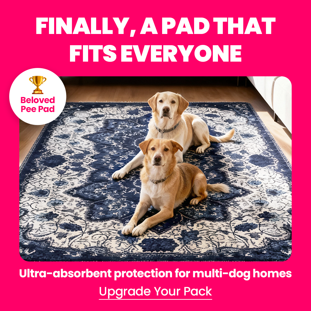 Pupiboo Facebook ad: 200,000+ Pet Owners Swear by This Pee Pad