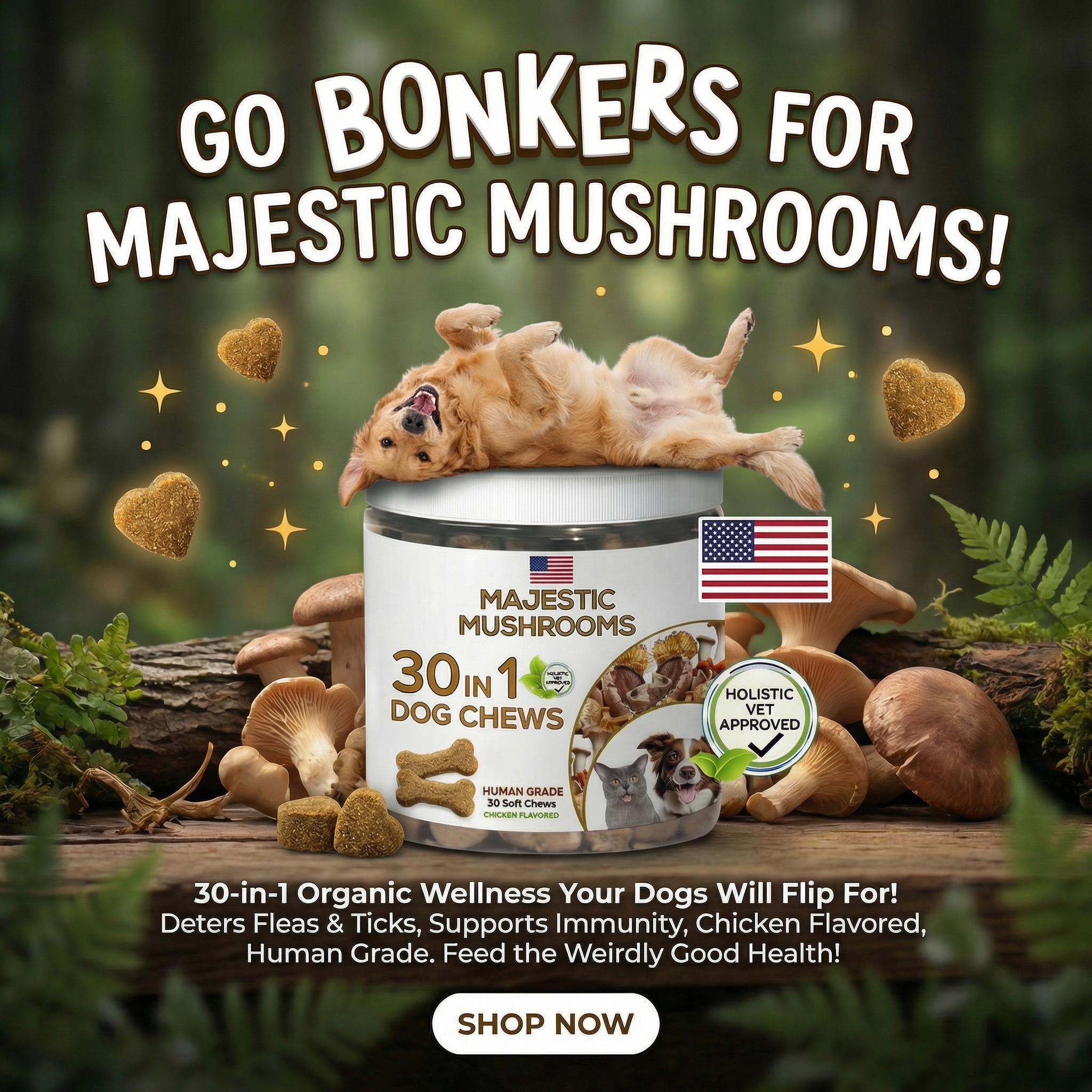We Love Pets Facebook ad