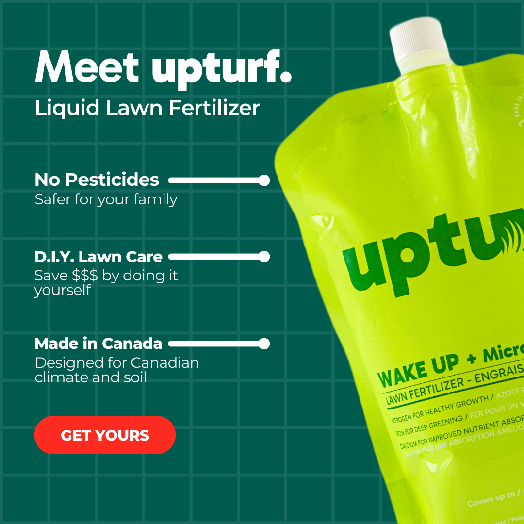 Upturf Facebook ad