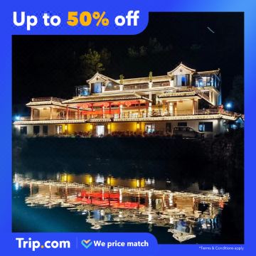 Trip.com Facebook ad