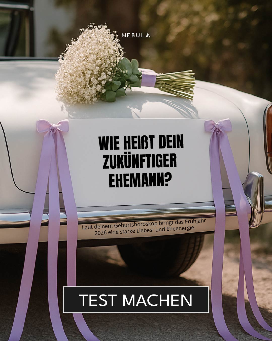 Nebula: Marriage Compatibility Facebook ad