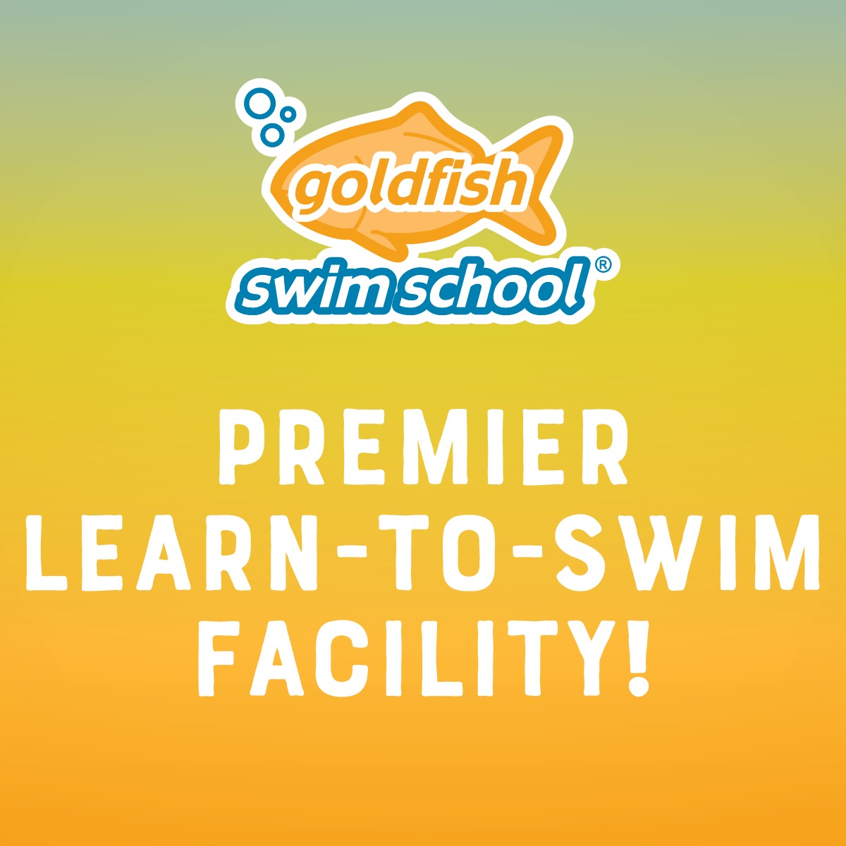 Goldfish Swim School - Redmond Facebook ad: Swim Lessons at Goldfish: Life-saving skills, creating…
