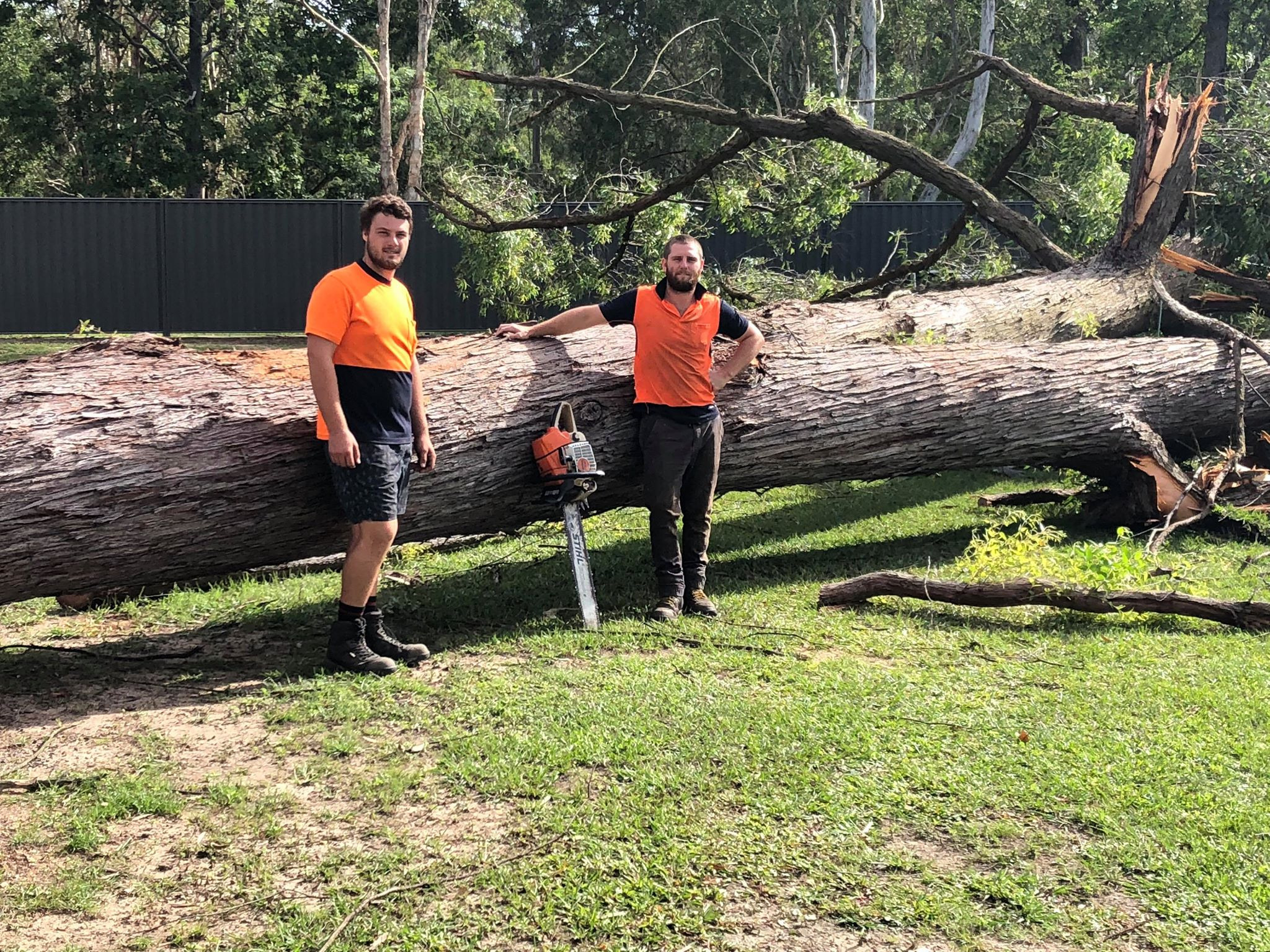 Mac’s Tree Service Facebook ad: Mac's Tree Service takes pride offering affordable Tree…