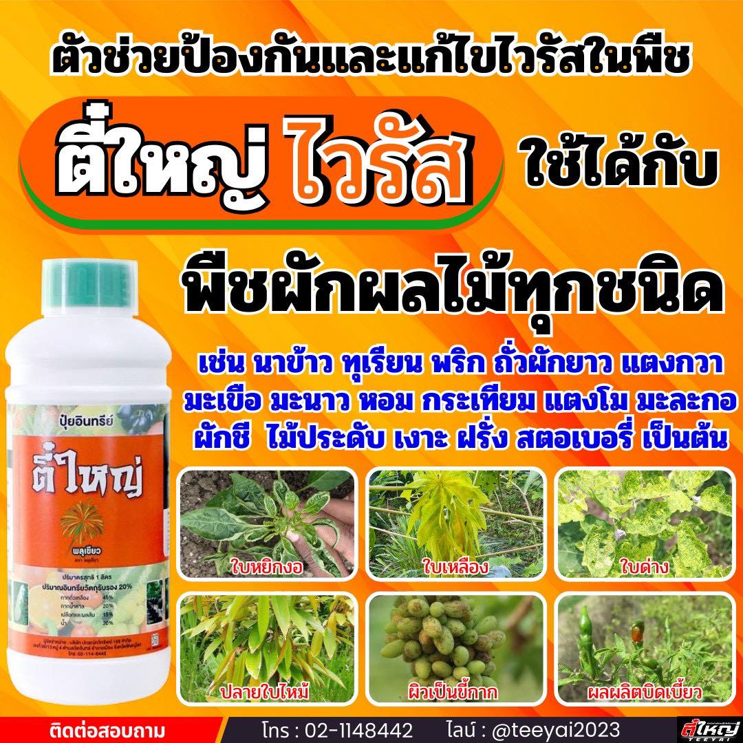 กำจัดโรคเพลี้ยไฟไรแดง โดยตี๋ใหญ่ Facebook ad: หยุดปัญหาพืชโทรม ใบหงิก ใบด่าง กวนใจ!