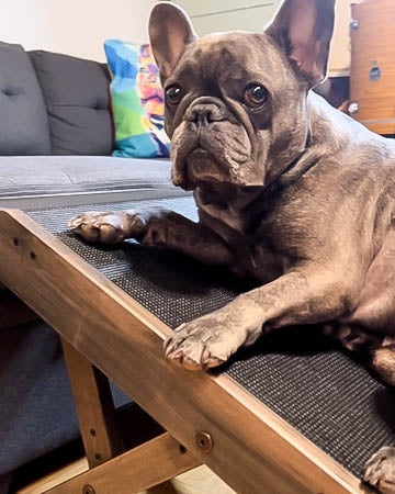 Picklé Le Frenchie Facebook ad
