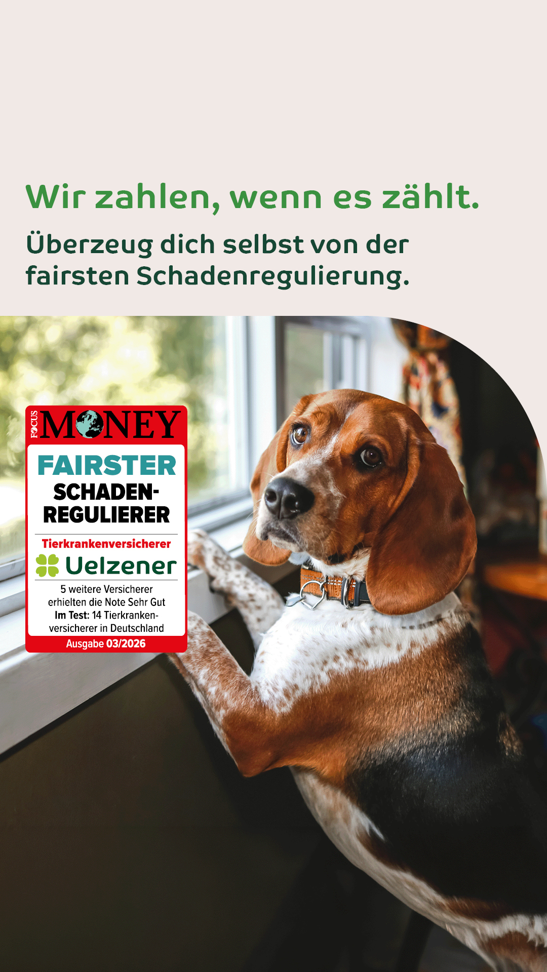 Uelzener Versicherungen Facebook ad