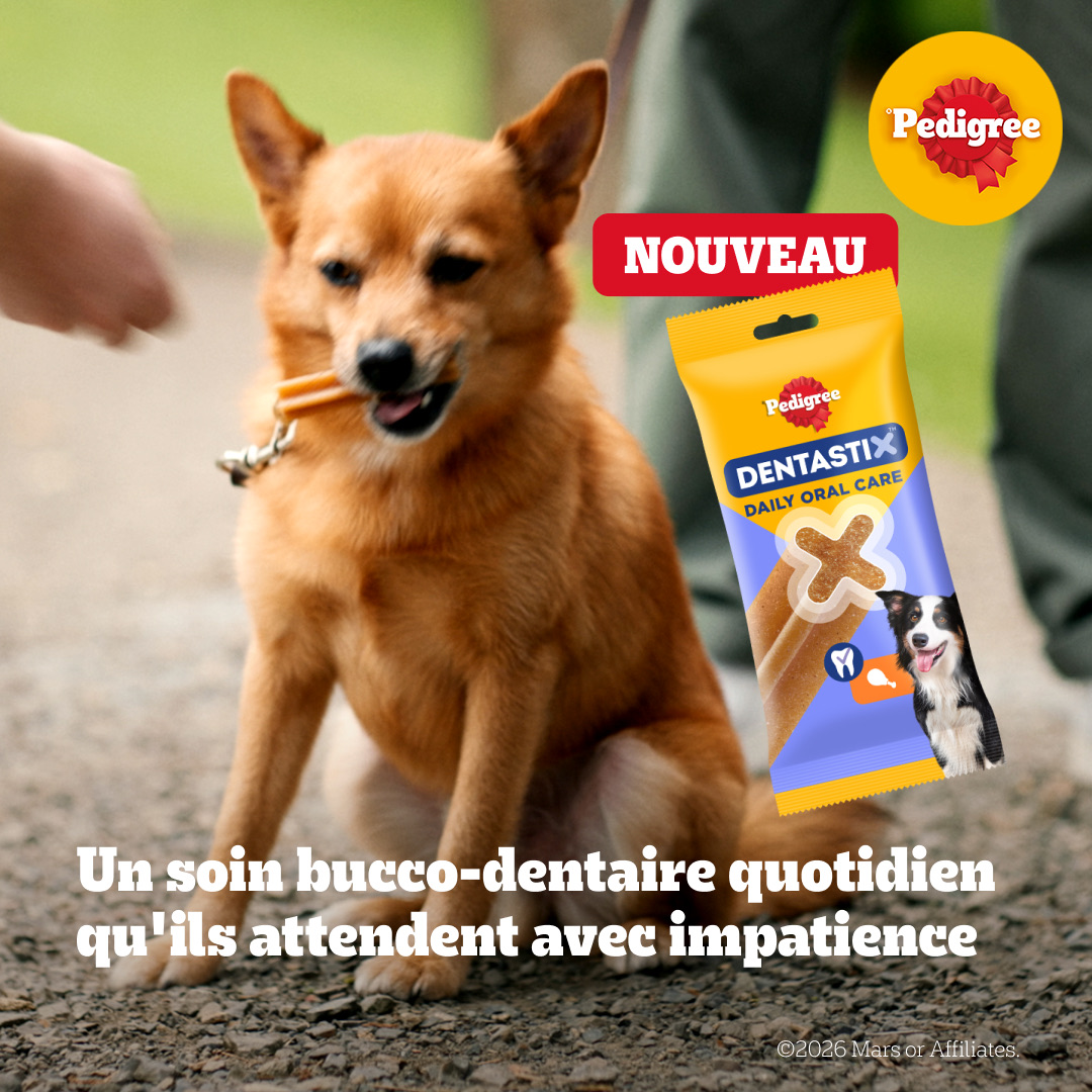 Pedigree France Facebook ad: Aidez-le à combattre les problèmes de bouche qui fait la…