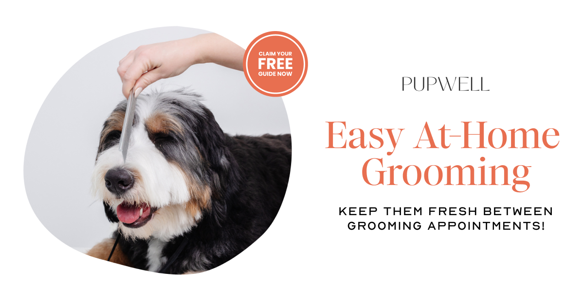 Pupwell Facebook ad