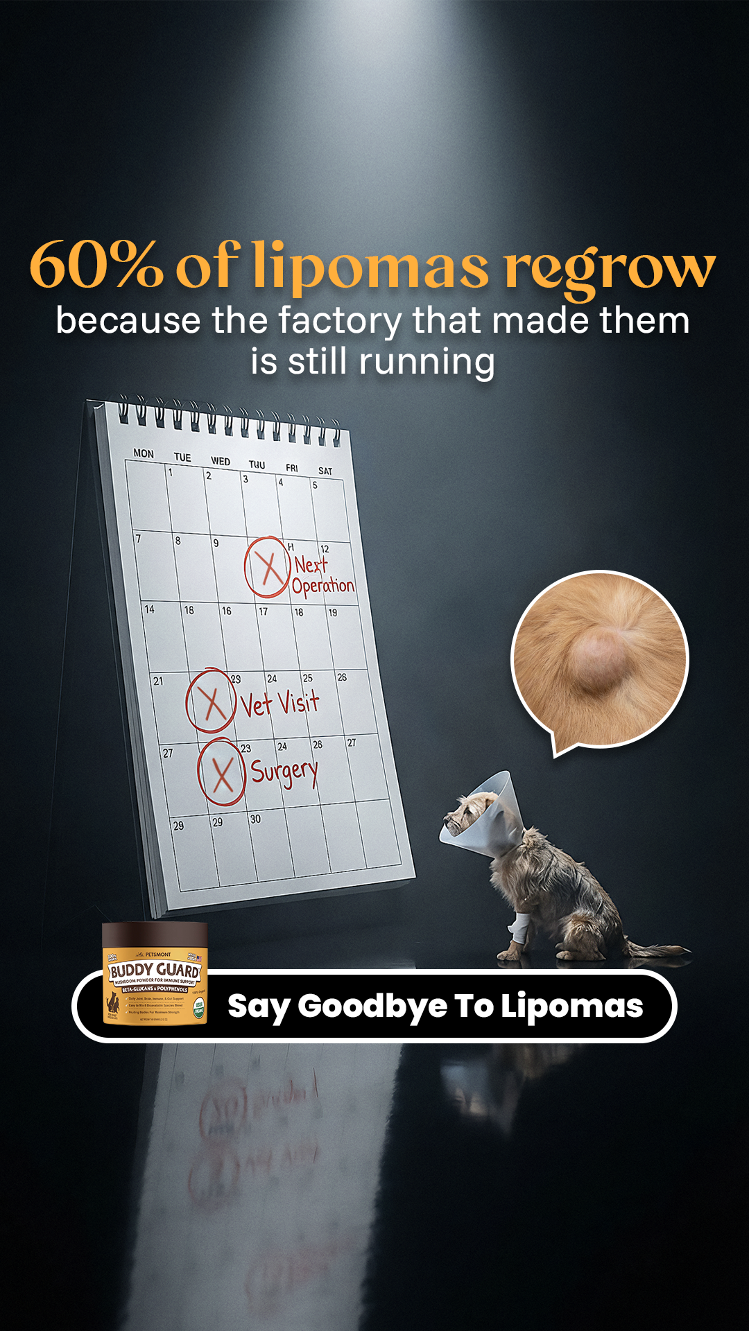 Petsmont Facebook ad