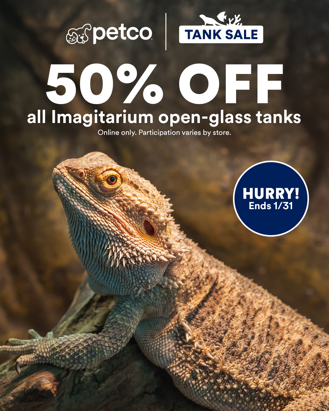 Petco Facebook ad