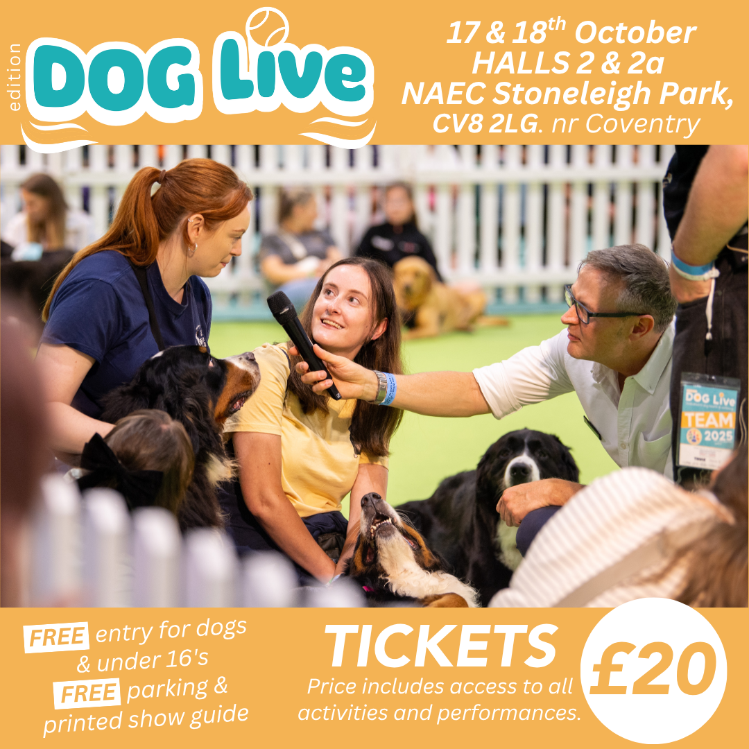 Edition Dog Live Facebook ad