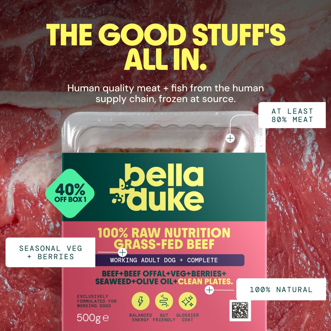 Bella+Duke Facebook ad