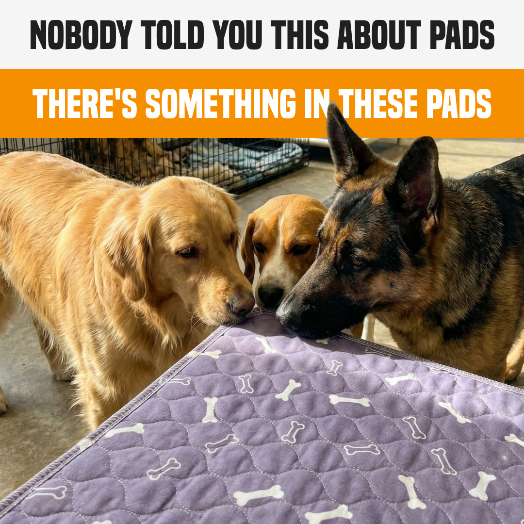 PuppyPad Facebook ad