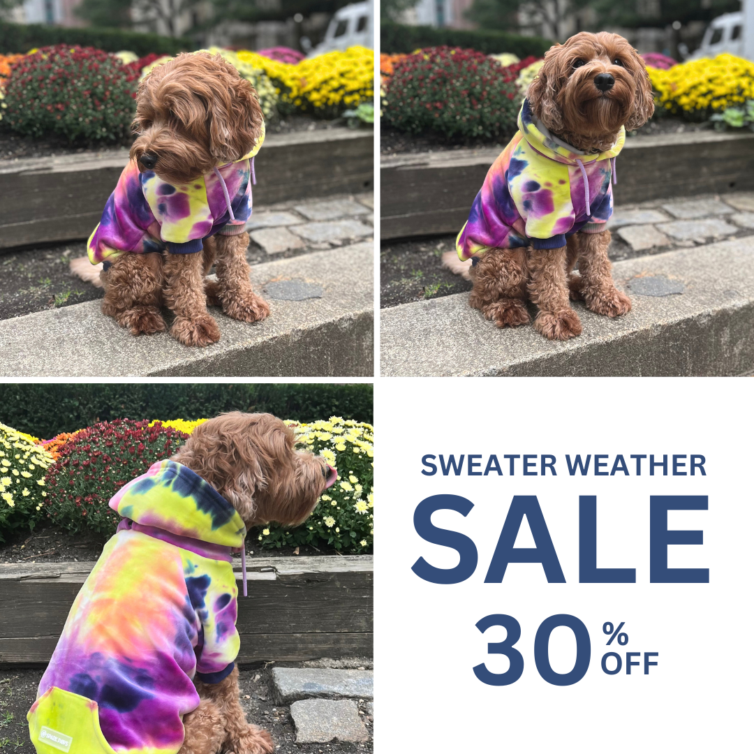 Spark Paws Facebook ad