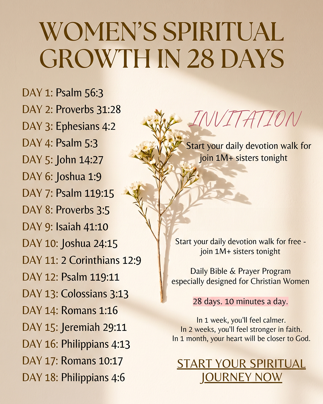 Bible for Women Facebook ad