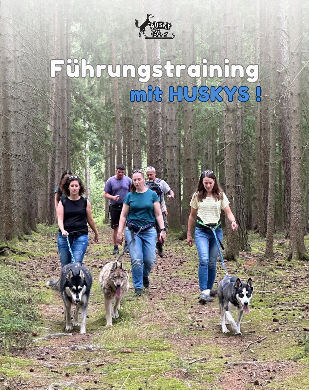 Husky-Stadl Waldviertel Facebook ad: ๐
๐ฎฬ๐ก๐ซ๐๐ง ๐ก๐๐ขร๐ญ ๐ง๐ข๐๐ก๐ญ ๐๐จ๐ฆ๐ข๐ง๐ข๐๐ซ๐๐งโฆ