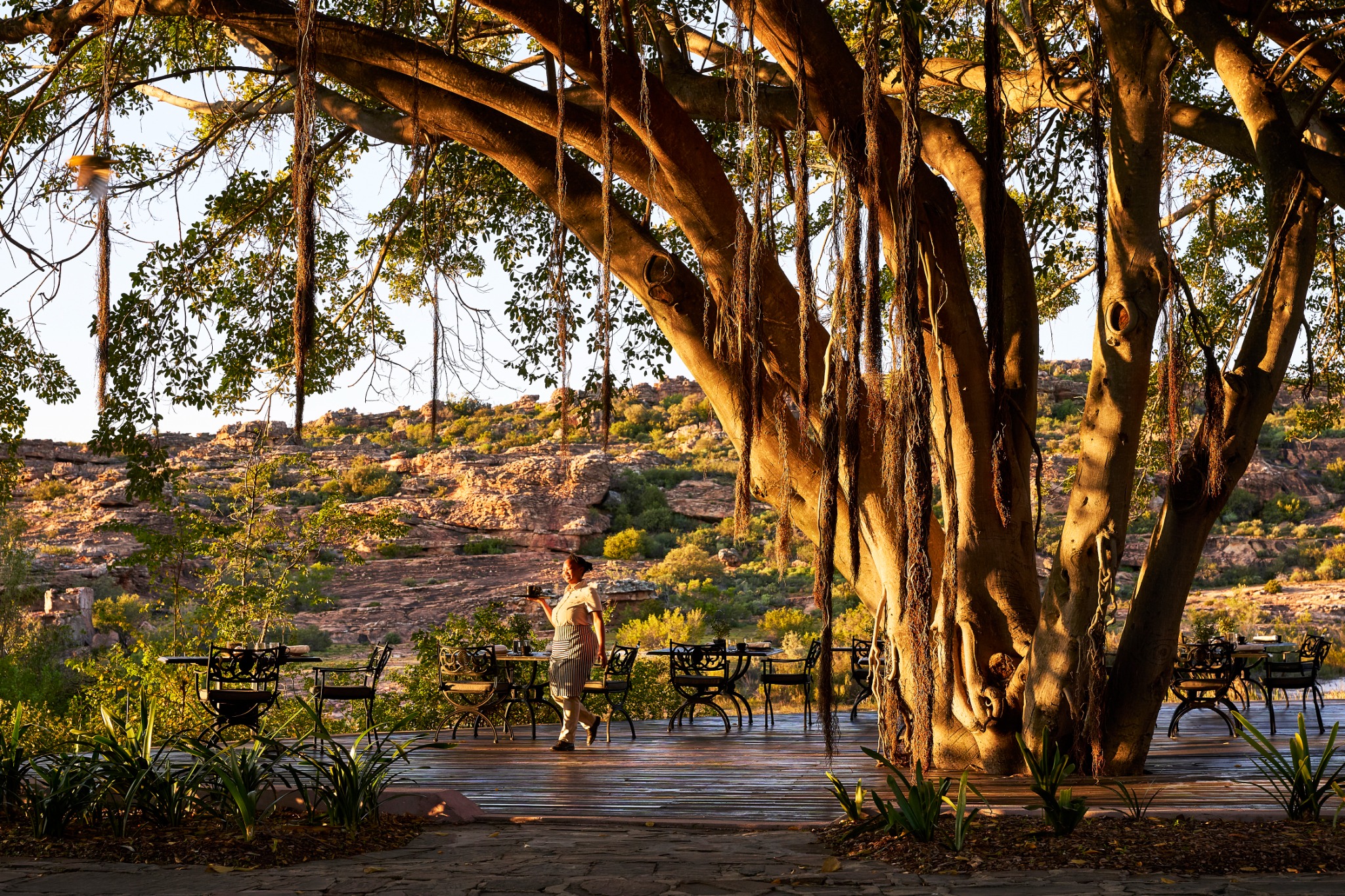 Bushmans Kloof Wilderness Reserve & Wellness Retreat Facebook ad from Apr 1, 2026