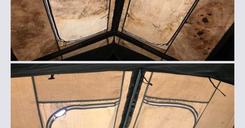 Canvas Magic Mould Remover Facebook ad
