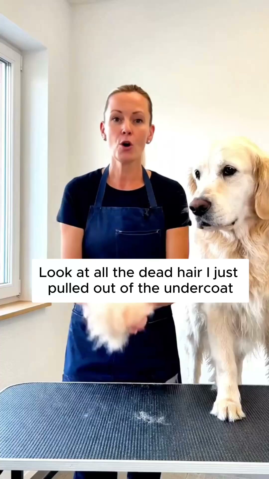 Nuvopet Facebook ad: Quebec's #1 dog brush is taking over Canada �