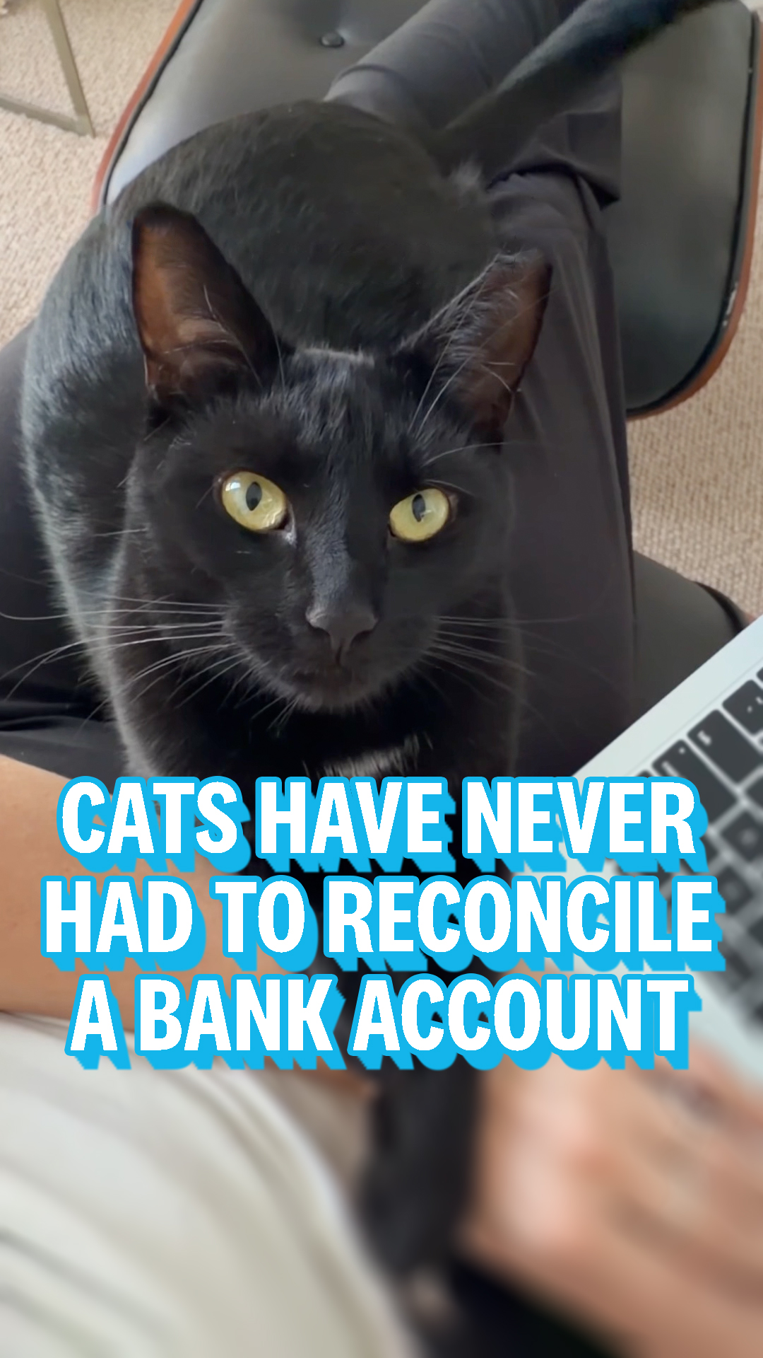 Xero Facebook ad: A cat has never reconciled a bank account…