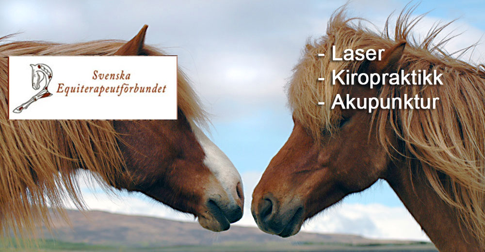 Equiterapeut Jorun MH Skryseth Facebook ad: Equiterapeut Jorun MH Skryseth, Komplementærbehandling av…