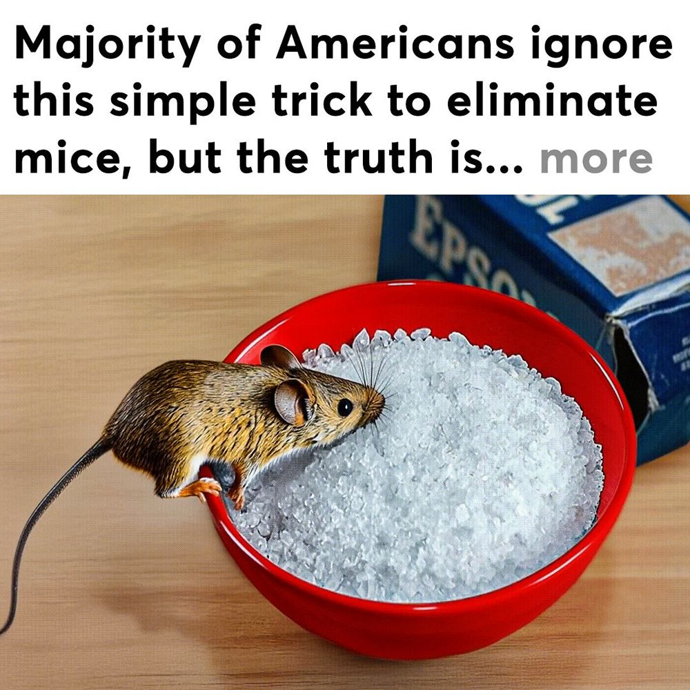Mice Secrets Facebook ad