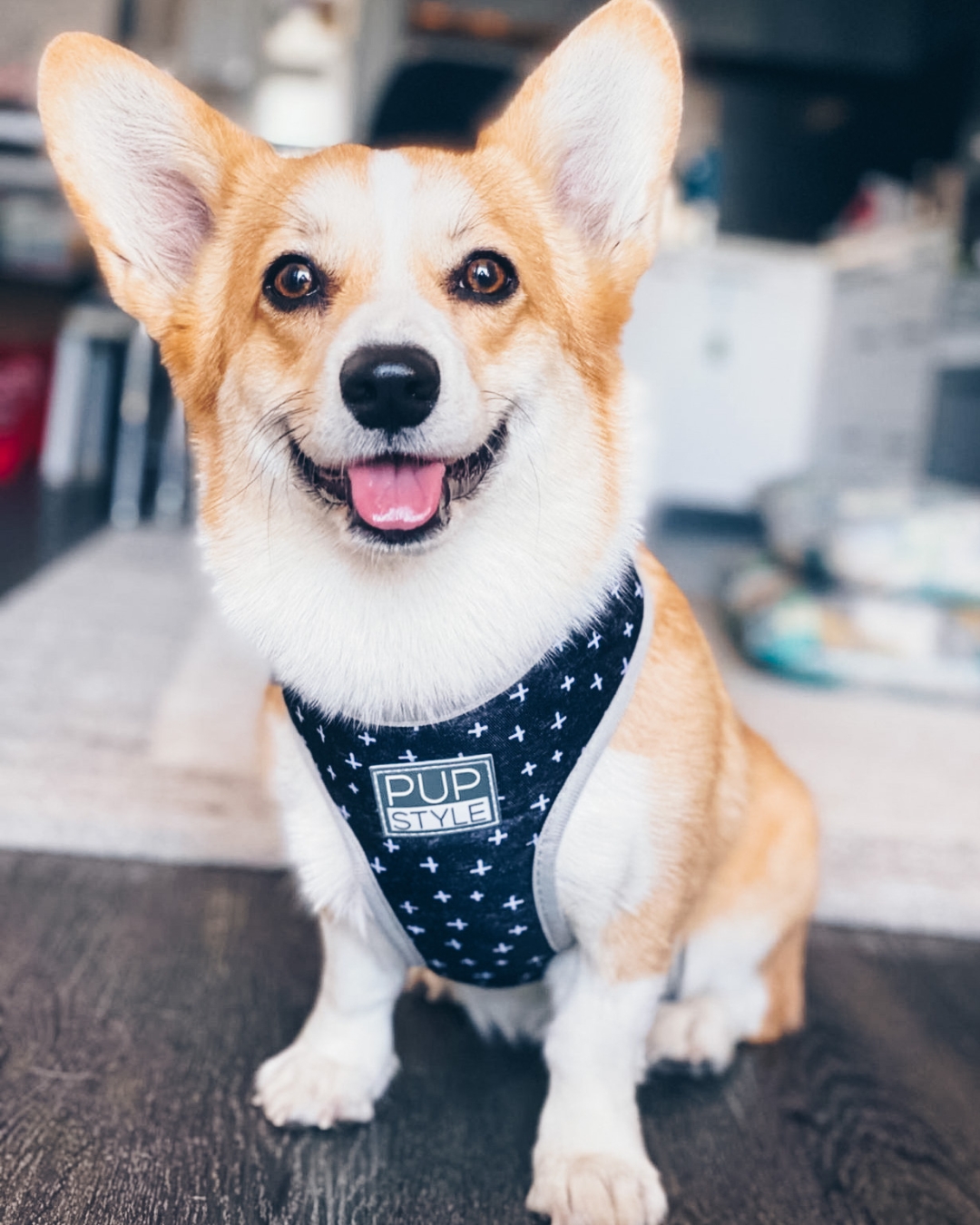 PUPSTYLE Store Facebook ad