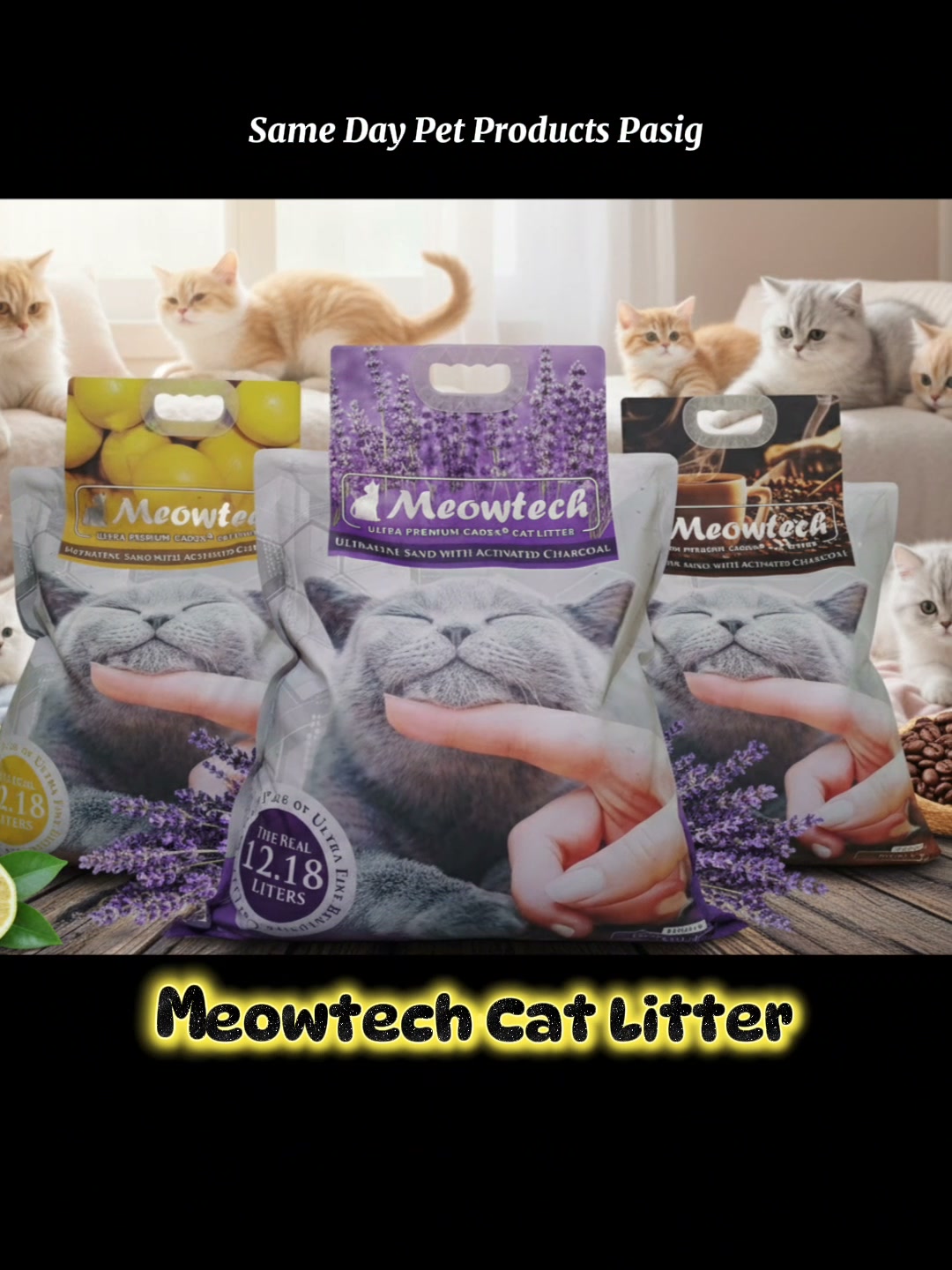Same Day Pet Products Pasig Facebook ad: We deliver the best pet products, same day…