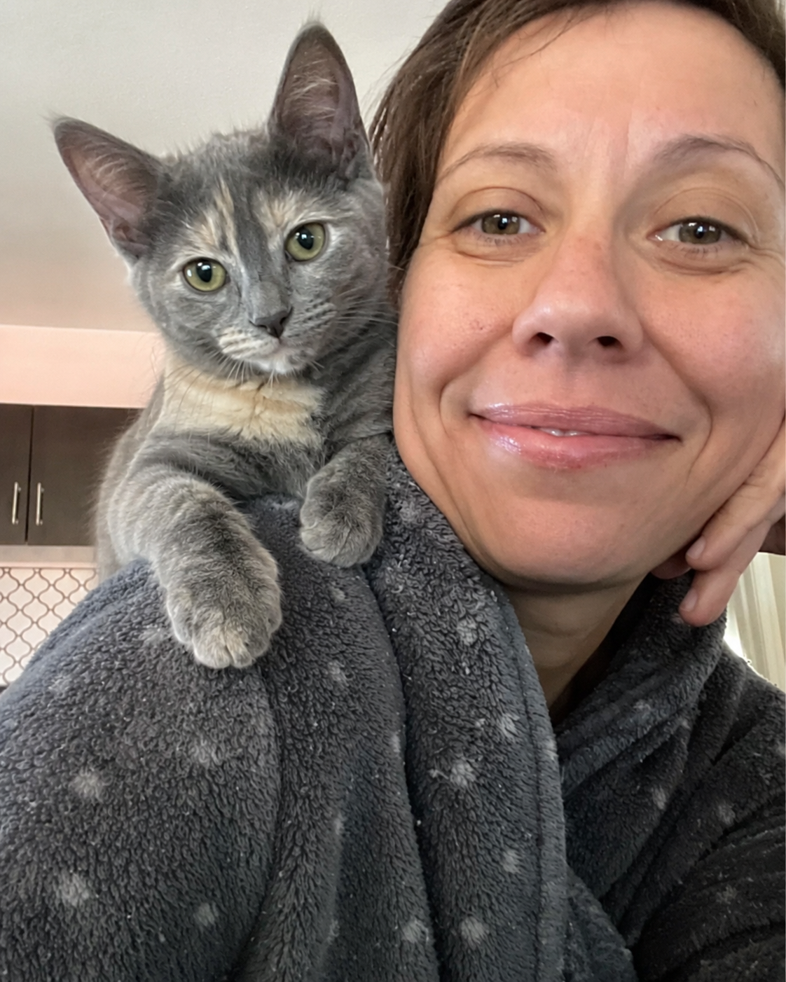 Sarah's Cat Tips Facebook ad: Are cat fountains making your cats sick?