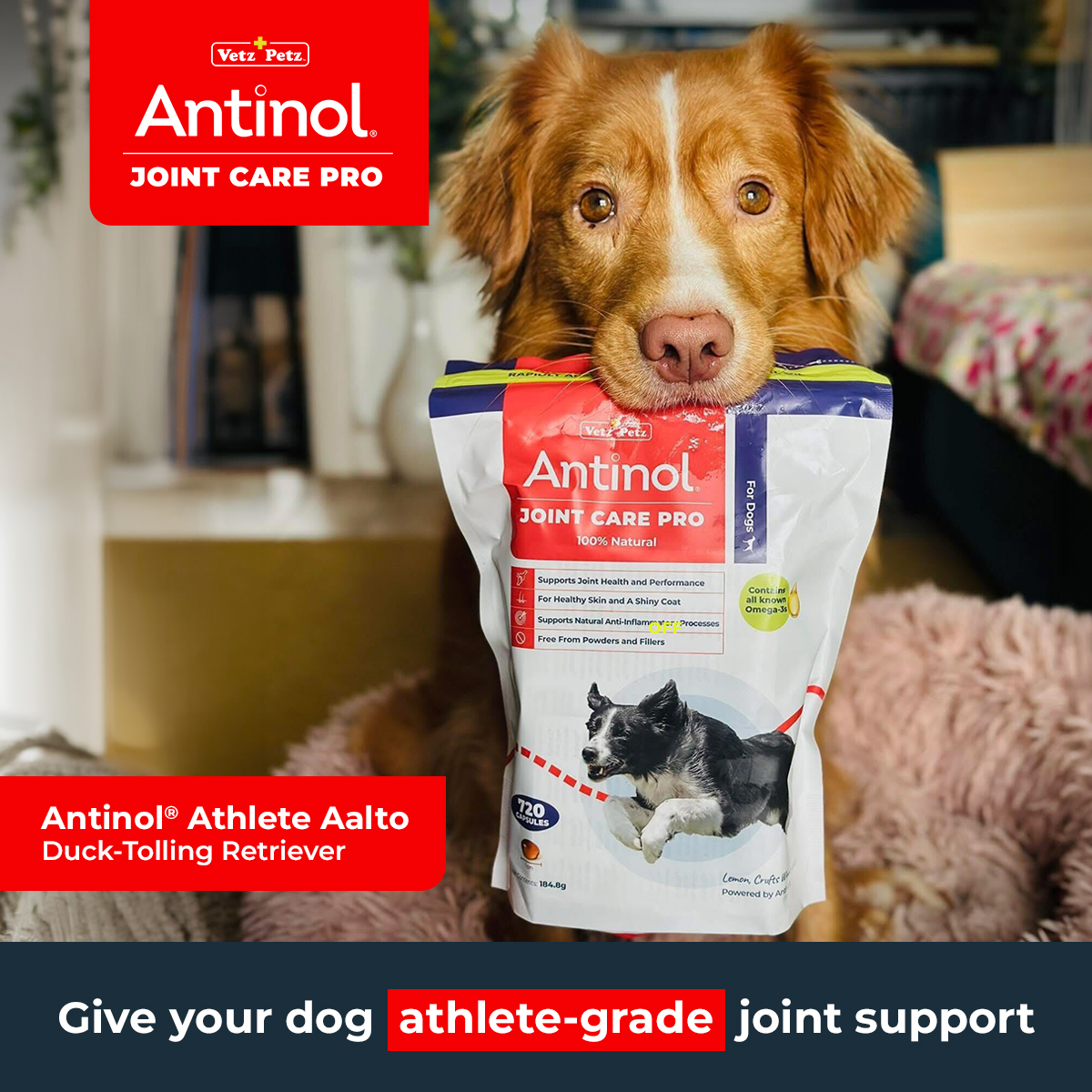 Antinol UK Facebook ad