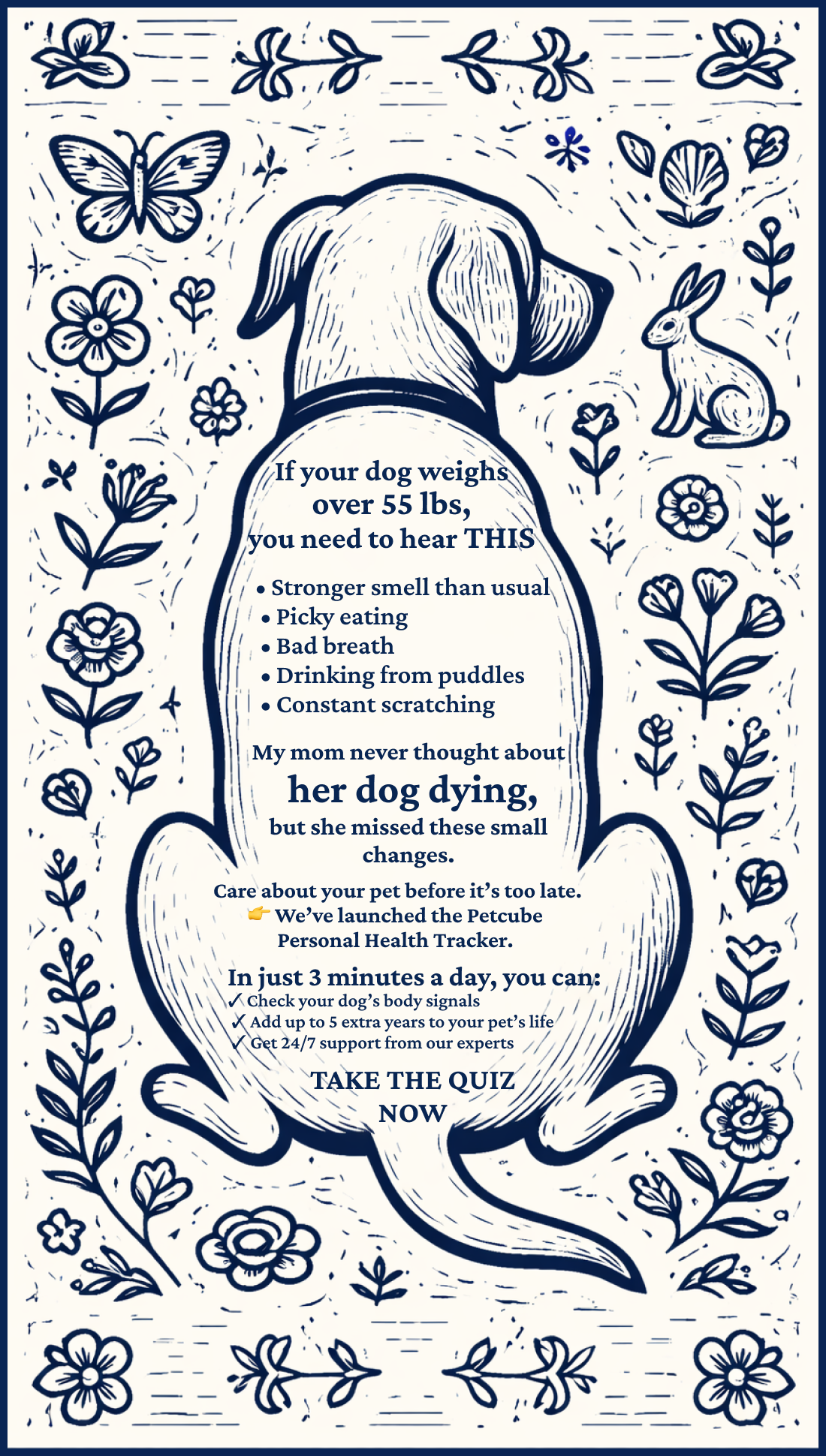 Petcube Facebook ad