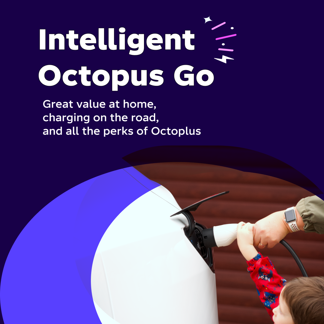 Octopus Energy Facebook ad