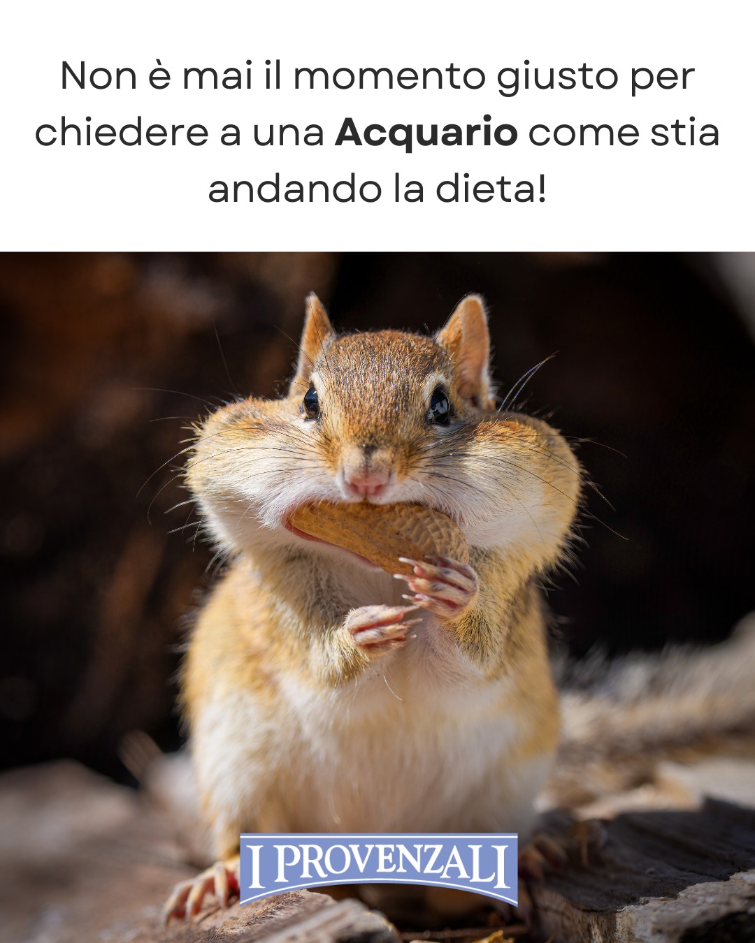 I Provenzali Facebook ad